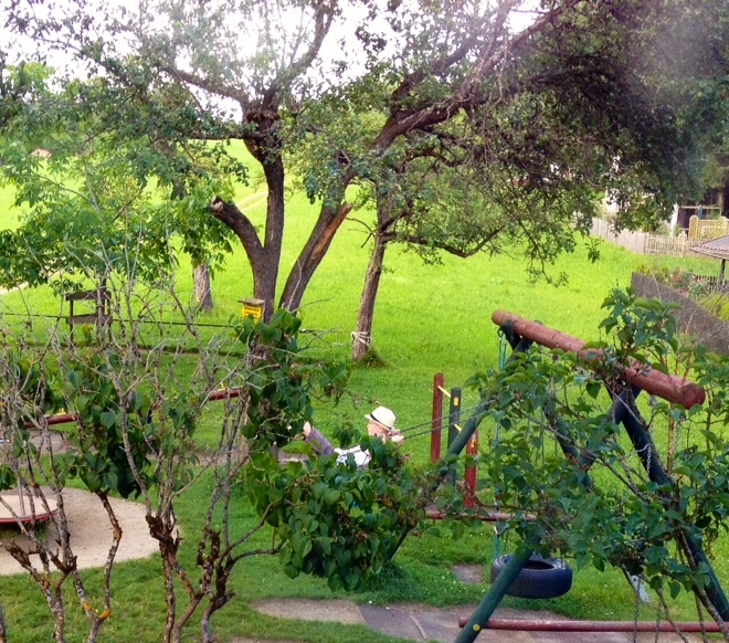 Relaxing in a garden