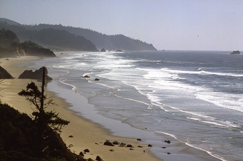 The coast of Oregon