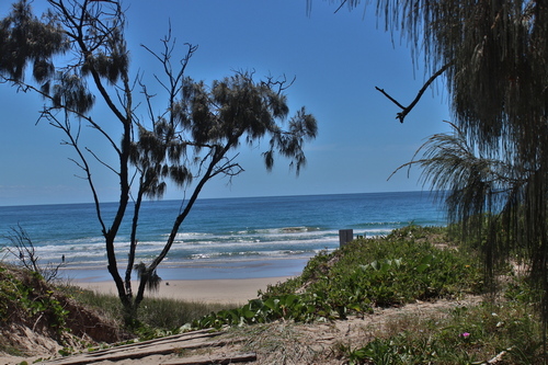 Noosa National Park