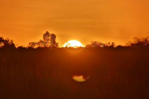 Sunsrise at Uluru